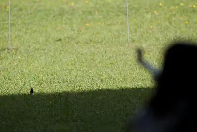 /images/2014/2014_gm_oberland/IMG_8601.webp